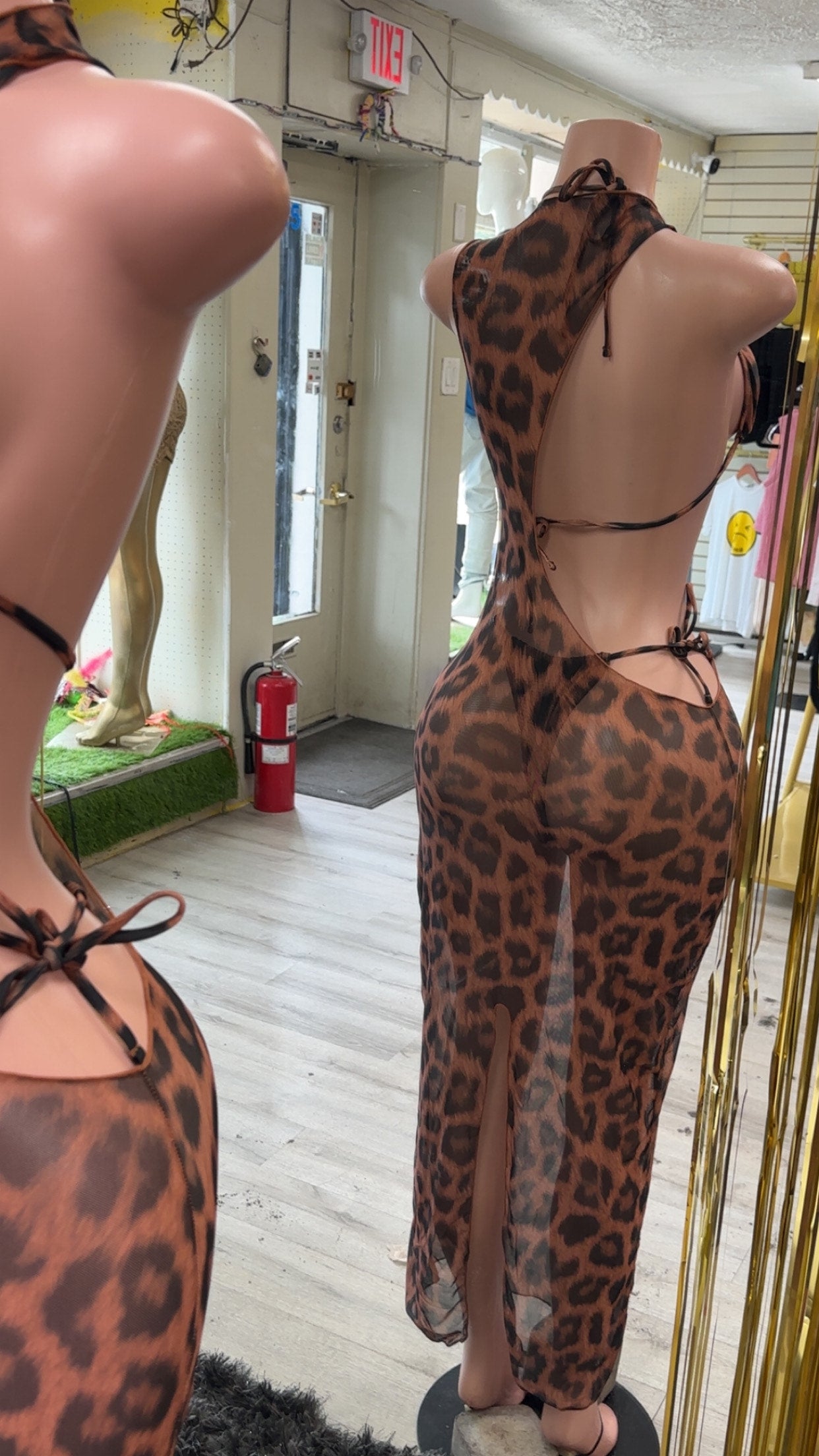 Wild Instinct Sheer Leopard Maxi