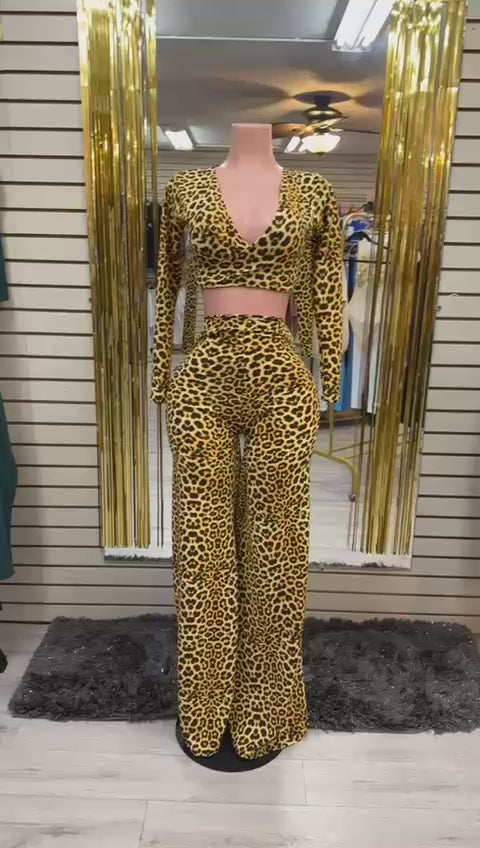 Set Animal print one size
